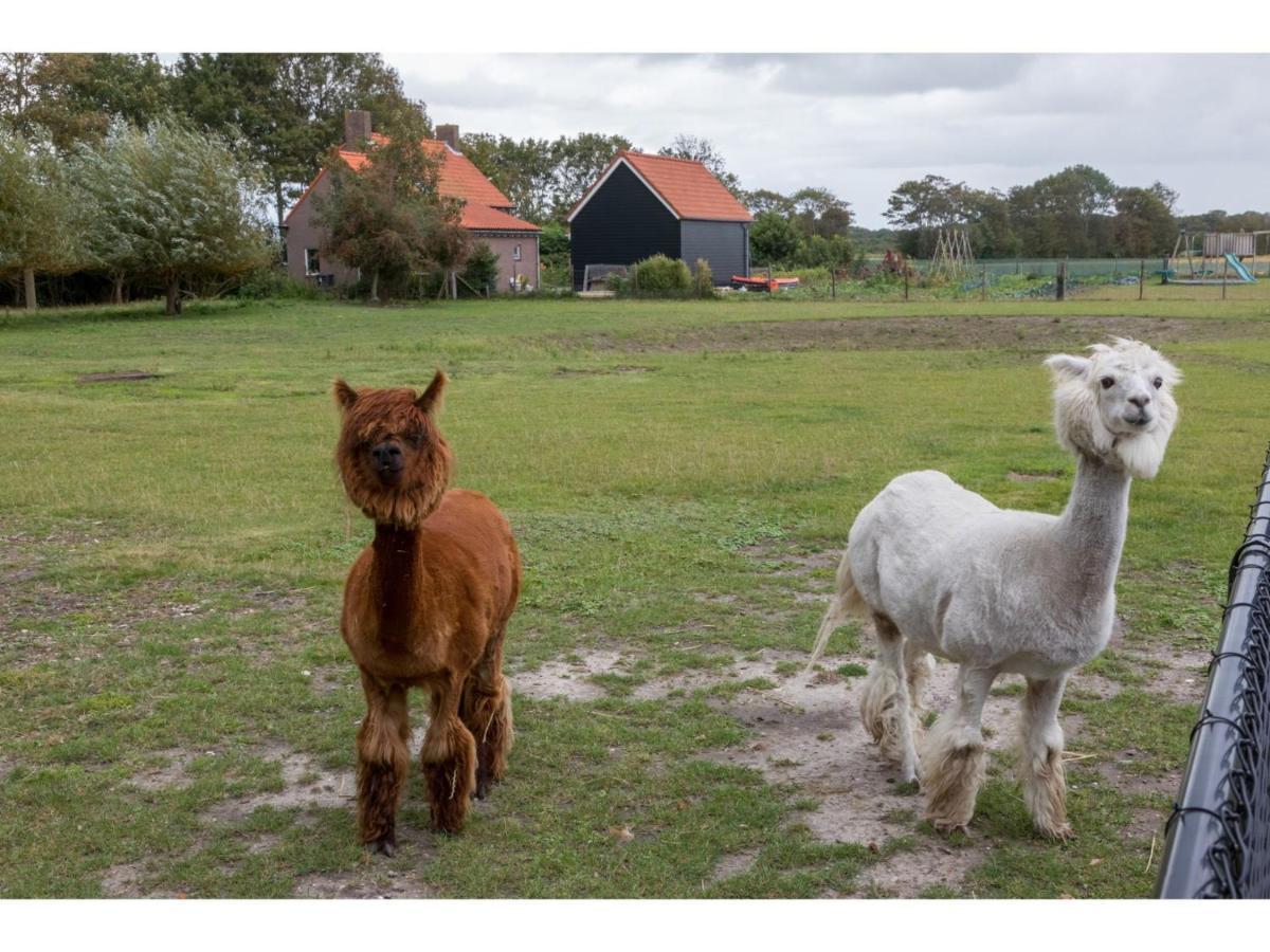 Villa Wonderfully Quiet Location In The Polder Pets Allowed Close To The Beach Koudekerke Exterior foto